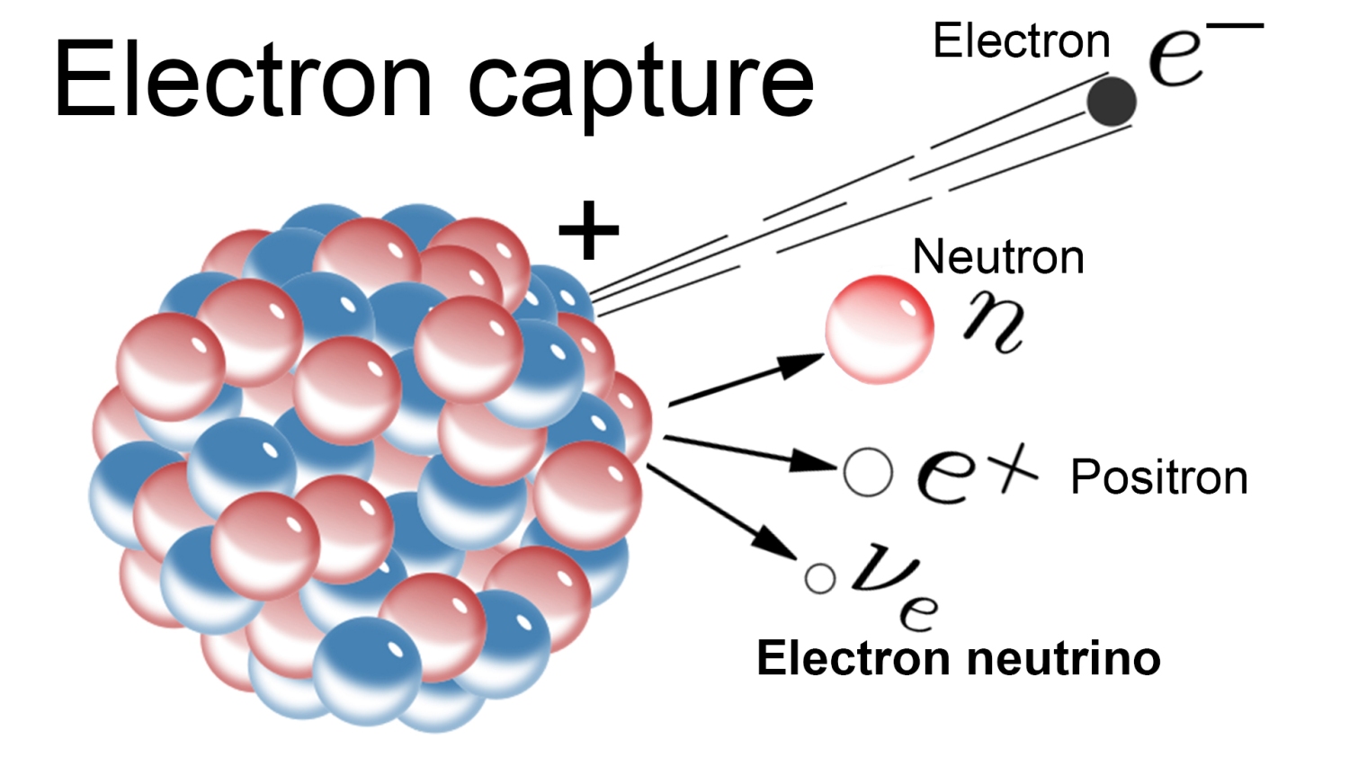 К захват электрона. Электронный захват бета распад. Нейтрино частица. Электрон Позитрон нейтрон.